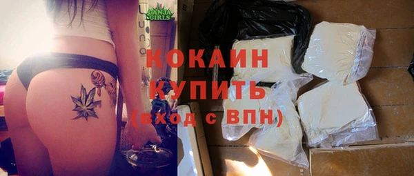индика Михайловка
