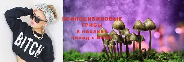 СК Мегион