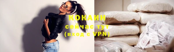 индика Михайловка