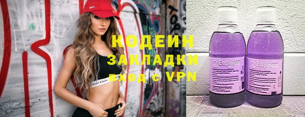 индика Михайловка