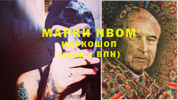 индика Михайловка