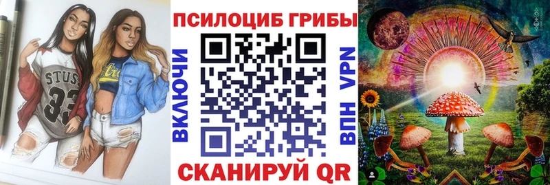 Купить где Череповец Псилоцибиновые грибы MAGIC MUSHROOMS